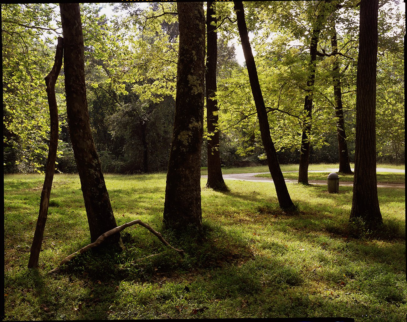 George Washington’s battlefield camp site, Yorktown, Virginia, 2016