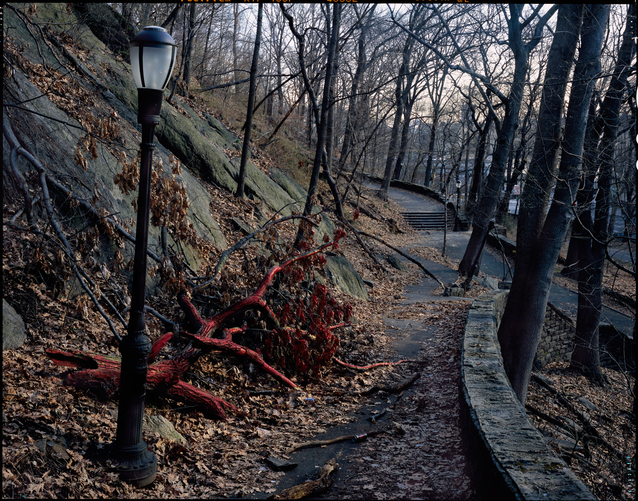 Fort Tryon Park, New York City, 2005