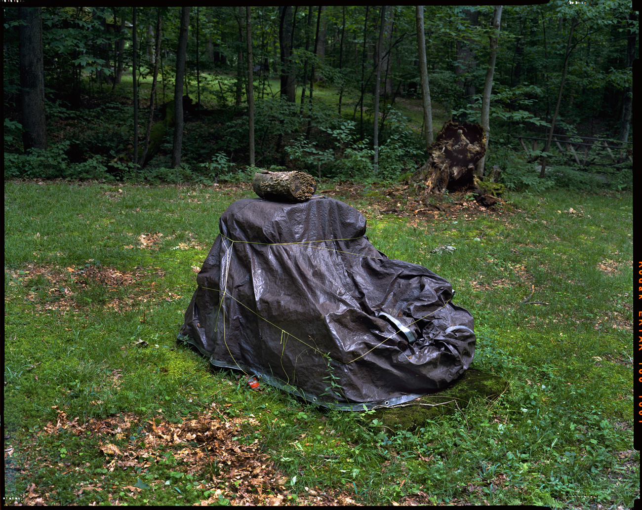 Covered barbecue, Fort Necessity, Pennsylvania, 2017