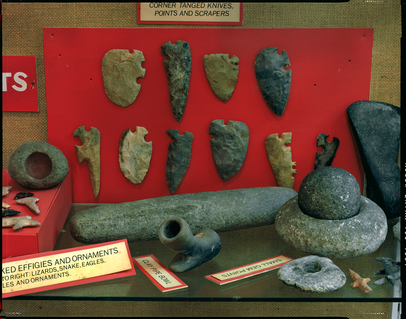 Indian artifacts unearthed from tilled fields, Ingleside Vineyards, Northern Neck, Virginia, 2017