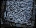 Negro burial ground, New York City, 2010