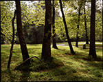 George Washington’s battlefield camp site, Yorktown, Virginia, 2016