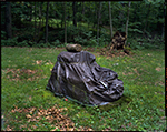 Covered barbecue, Fort Necessity, Pennsylvania, 2017